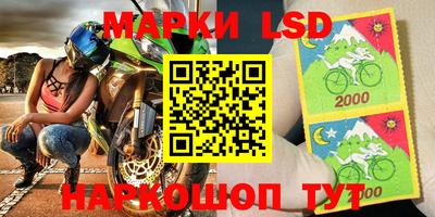 ПСИЛОЦИБИНОВЫЕ ГРИБЫ Кингисепп
